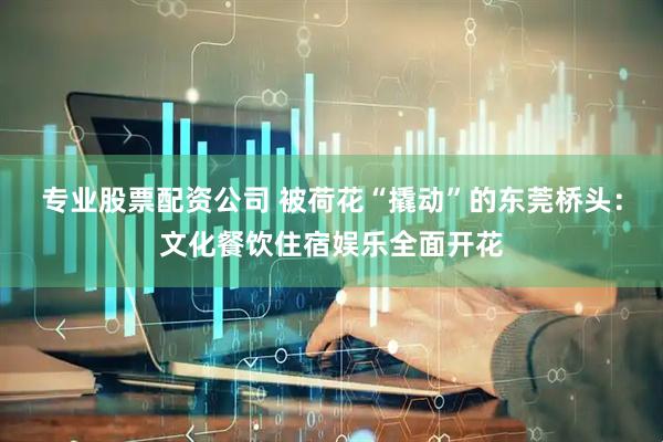 专业股票配资公司 被荷花“撬动”的东莞桥头：文化餐饮住宿娱乐全面开花